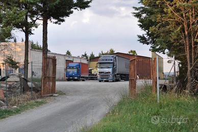 Radicofani capannone con piazzale 950