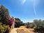 Immagine 23