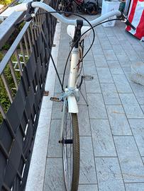 bicicletta stile olandese 