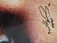 Immagine 3