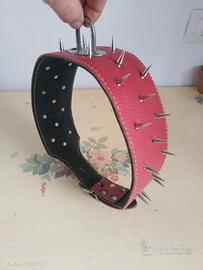 collare 