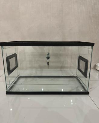 Teca Geco Leopardino