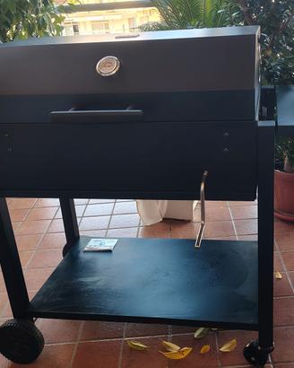 Barbecue nuovissimo