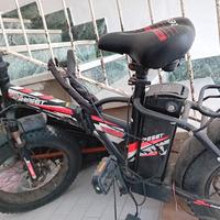 bici  elettricw