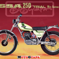 Ossa 250 Mick andrewes replica