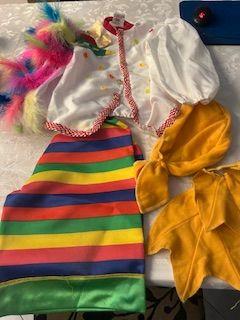 COCCORì  VESTITO CARNEVALE BIMBO/A