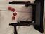 Immagine 5