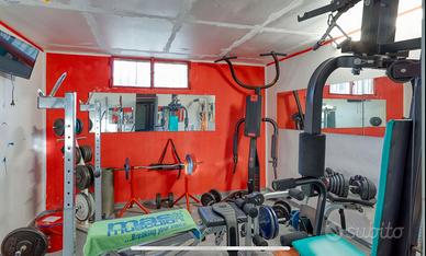 Sale pesi semiprofessionale