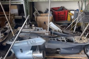 Piedi Mercury - Yamaha - Suzuki - Honda - Evinrude