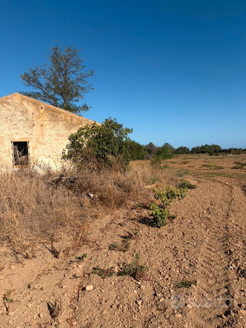 Russeglia Podere Agricolo con rudere 3 km dal mare - Vista 2