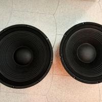 Woofer 15 pollici con tweeter