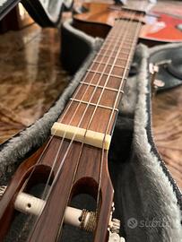 Chitarre Fender e Yamaha con custodie