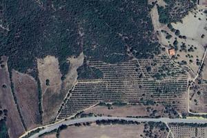 Terreno Agricolo con Uliveto
