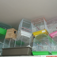 Gabbie cuccia trasportino volere acquarie