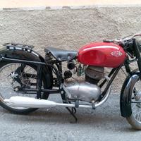 Gilera Altro modello - 1955