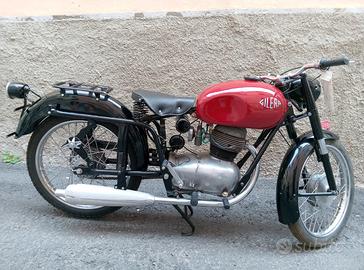 Gilera Altro modello - 1955