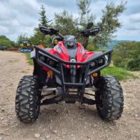 Can am renegade 800r