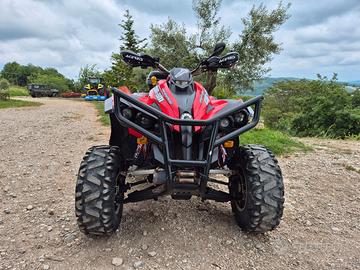 Can am renegade 800r