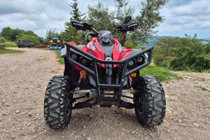 Can am renegade 800r