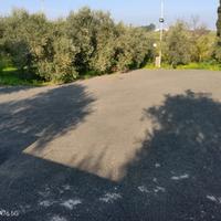 Casale indipendente immersa tra gli ulivi