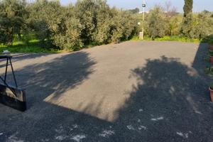 Casale indipendente immersa tra gli ulivi