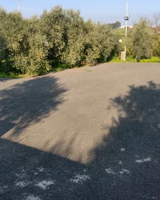 Casale indipendente immersa tra gli ulivi