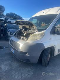 Ricambi FIAT DUCATO