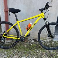 Mtb cannondale trail 8  29