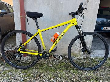 Mtb cannondale trail 8  29