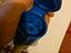 Immagine 6
