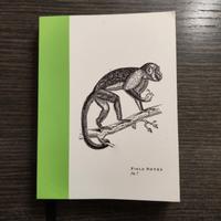 Taccuino Field Notes fig. 7 (ed. limitata IKEA) 