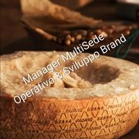 Manager Operativo Azienda e Sviluppo