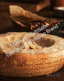 Manager Operativo Azienda e Sviluppo