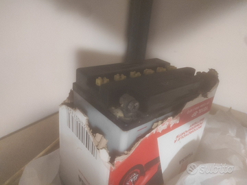 Batteria yuasa per Beverly 500
