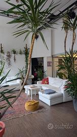 Vivere in Via Malaga 4 (Milano) è un esperienza