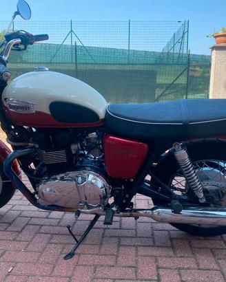 Splendida Bonneville T 100 Limited 986