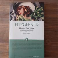 Fitzgerald - tenera è la notte