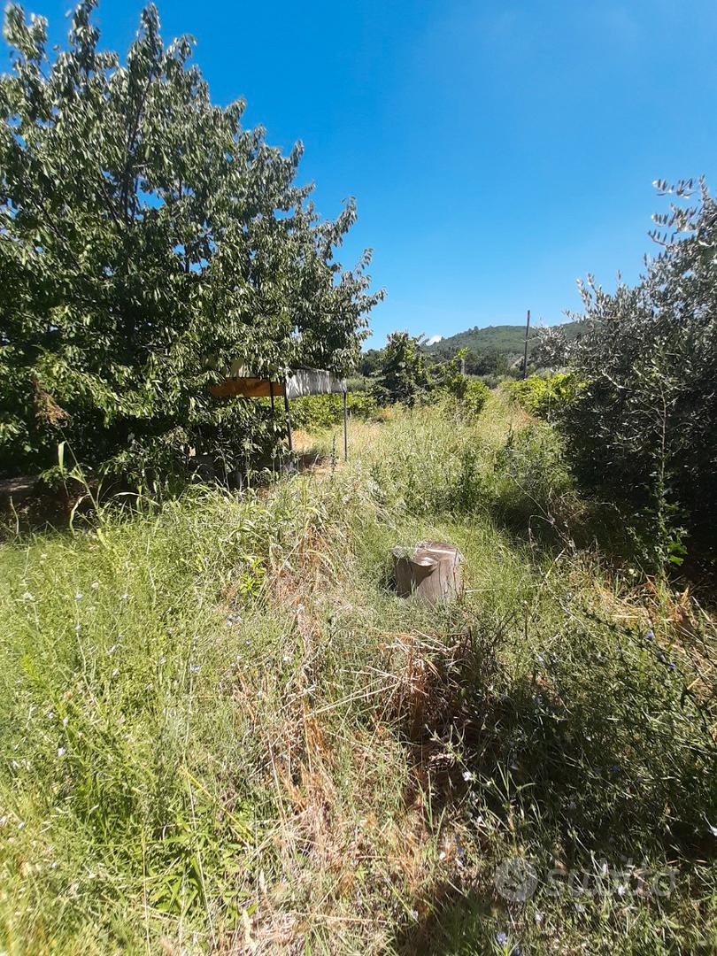 Terreno edificabile San Feliciano - Vista 4