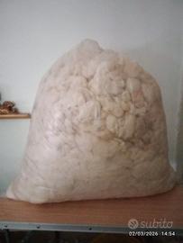 LANA DI PECORA GREZZA CIRCA 5 KG
