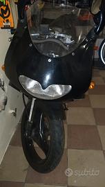 motori