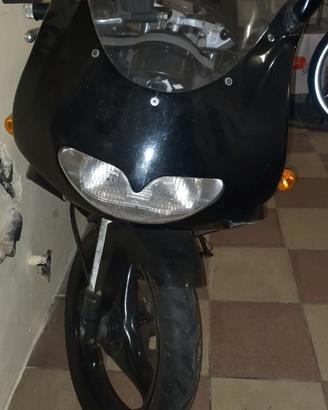 motori