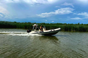 Gommone flyer 575/600 Mercury 115 pro xs