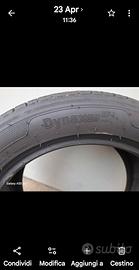 gomme  estive 