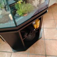 Acquario