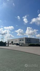 Capannone per uso logistico