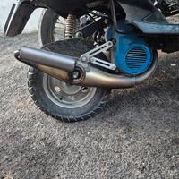 gianelli extra minarelli verticale 