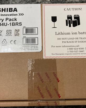 2 Batterie ORIGINALI Toshiba NB 300