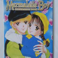 Marmelade Boy Piccoli Problemi di Cuore Art Book