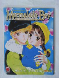 Marmelade Boy Piccoli Problemi di Cuore Art Book