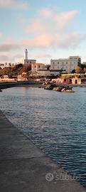 Ville Anzio Settembre last minute